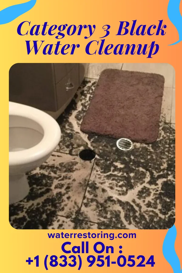 Category 3 Black Water Cleanup in St. Thomas, MO