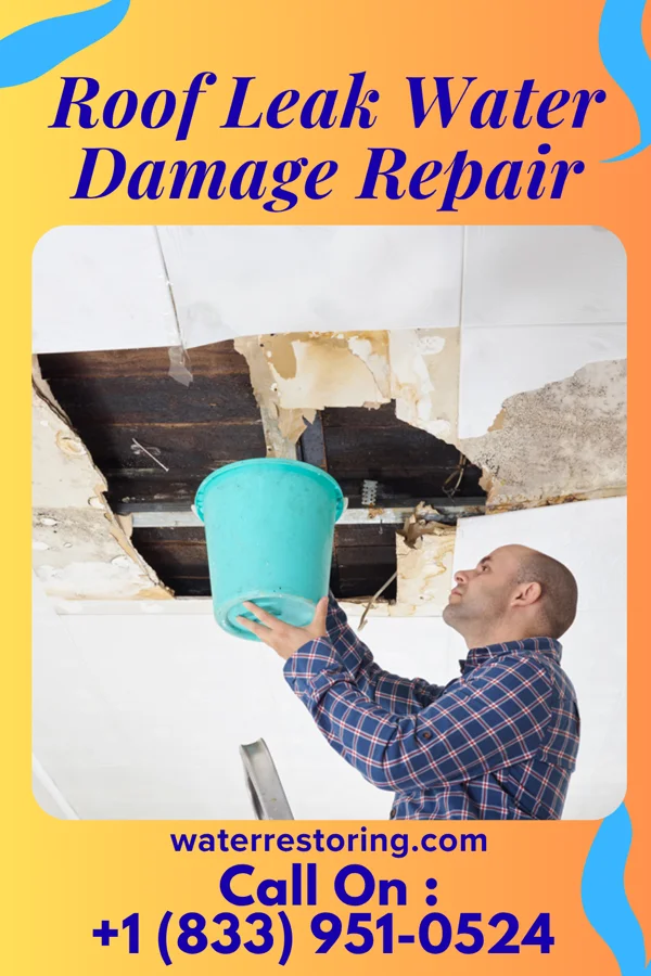 Roof Leak Water Damage Repair in St. Thomas, MO