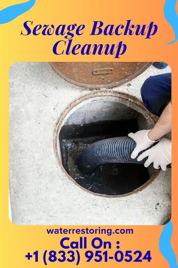 Sewage Backup Cleanup in St. Thomas, MO