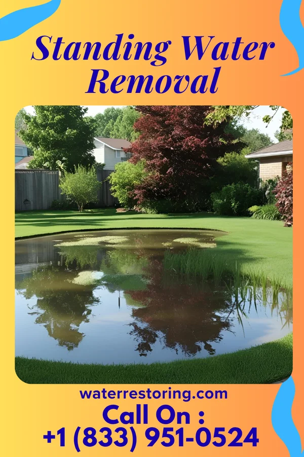 Standing Water Removal in St. Thomas, MO